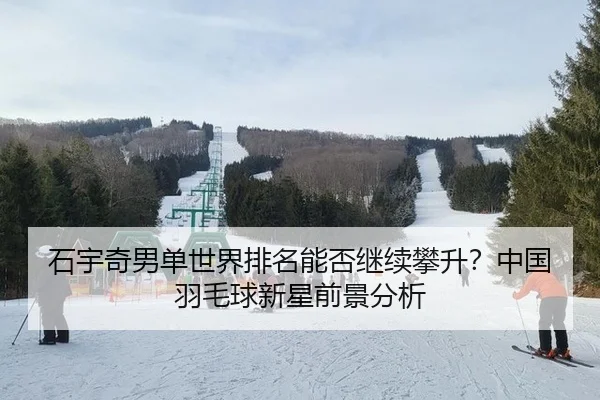 shi-yu-qi-nan-dan-shi-jie-pai-ming-neng-fou-ji-xu-pan-sheng-zhong-guo-yu-mao-qiu-xin-xing-qian-jing-fen-xi-2-284.jpg