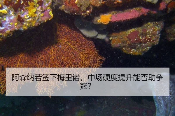 a-sen-na-ruo-qian-xia-mei-li-nuo-zhong-chang-ying-du-ti-sheng-neng-fou-zhu-zheng-guan-2-458.jpg